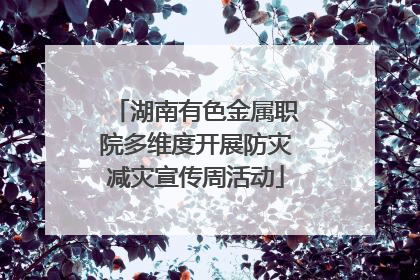 湖南有色金属职院多维度开展防灾减灾宣传周活动
