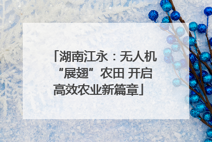 湖南江永：无人机“展翅”农田 开启高效农业新篇章
