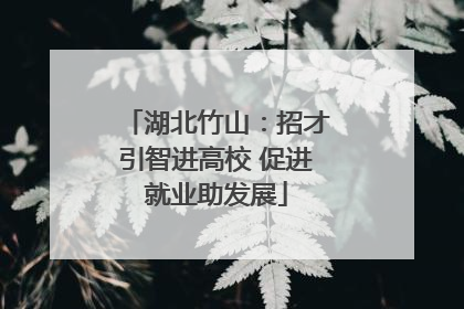 湖北竹山：招才引智进高校 促进就业助发展