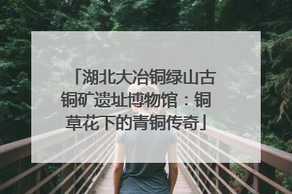 湖北大冶铜绿山古铜矿遗址博物馆：铜草花下的青铜传奇