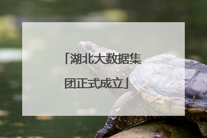 湖北大数据集团正式成立