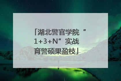 湖北警官学院“1+3+N”实战育警硕果盈枝