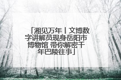 湘见万年丨文博数字讲解员现身岳阳市博物馆 带你解密千年巴陵往事