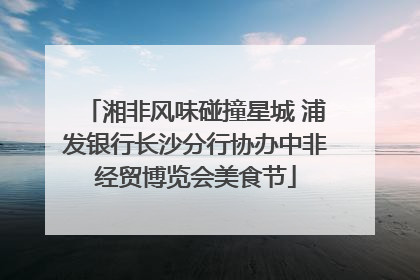 湘非风味碰撞星城 浦发银行长沙分行协办中非经贸博览会美食节