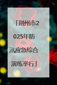 荆州市2025年防汛应急综合演练举行