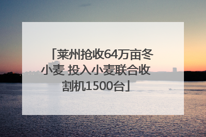 莱州抢收64万亩冬小麦 投入小麦联合收割机1500台