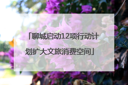 聊城启动12项行动计划扩大文旅消费空间