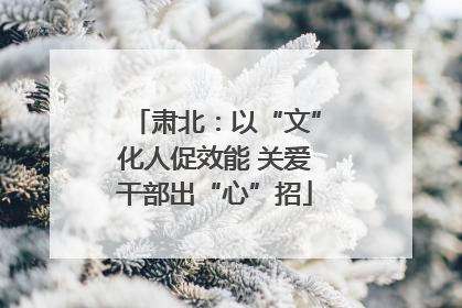 肃北：以“文”化人促效能 关爱干部出“心”招