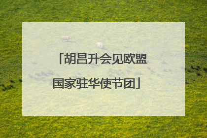 胡昌升会见欧盟国家驻华使节团