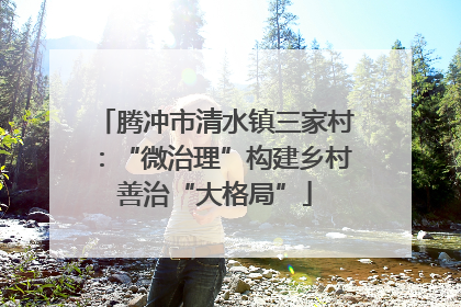 腾冲市清水镇三家村：“微治理”构建乡村善治“大格局”