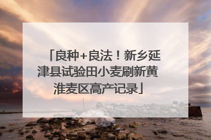 良种+良法！新乡延津县试验田小麦刷新黄淮麦区高产记录