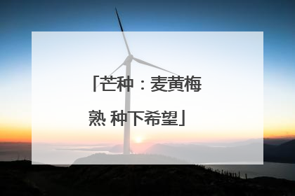 芒种：麦黄梅熟 种下希望