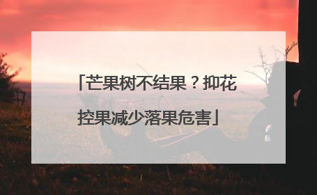 芒果树不结果？抑花控果减少落果危害