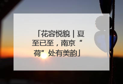 花容悦貌｜夏至已至，南京“荷”处有美韵