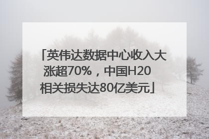 英伟达数据中心收入大涨超70%，中国H20相关损失达80亿美元