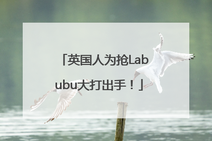 英国人为抢Labubu大打出手！