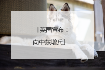 英国宣布：向中东增兵