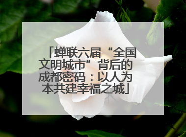 蝉联六届“全国文明城市”背后的成都密码：以人为本共建幸福之城