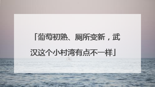 葡萄初熟、厕所变新，武汉这个小村湾有点不一样