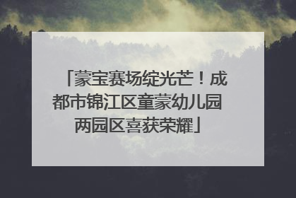 蒙宝赛场绽光芒！成都市锦江区童蒙幼儿园两园区喜获荣耀