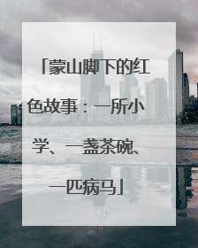 蒙山脚下的红色故事：一所小学、一盏茶碗、一匹病马