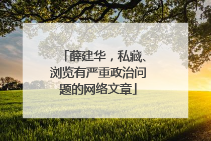 薛建华，私藏、浏览有严重政治问题的网络文章