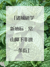 诸城研学新地标：常山脚下非遗一条街