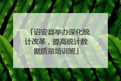 诏安县举办深化统计改革，提高统计数据质量培训班
