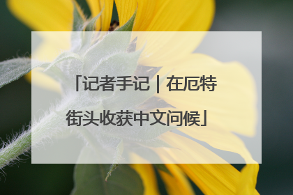 记者手记｜在厄特街头收获中文问候