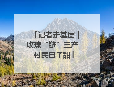 记者走基层｜玫瑰“链”三产 村民日子甜