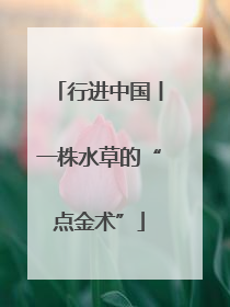 行进中国丨一株水草的“点金术”