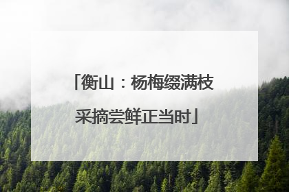 衡山：杨梅缀满枝 采摘尝鲜正当时