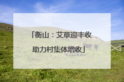衡山：艾草迎丰收 助力村集体增收