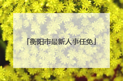 衡阳市最新人事任免