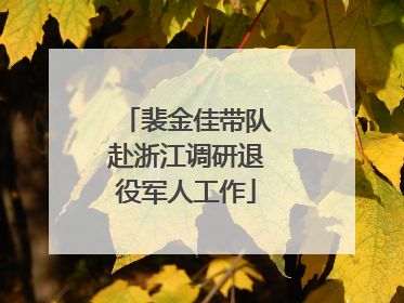 裴金佳带队赴浙江调研退役军人工作