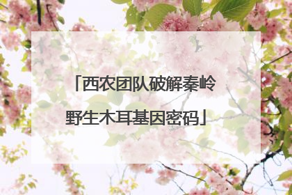 西农团队破解秦岭野生木耳基因密码