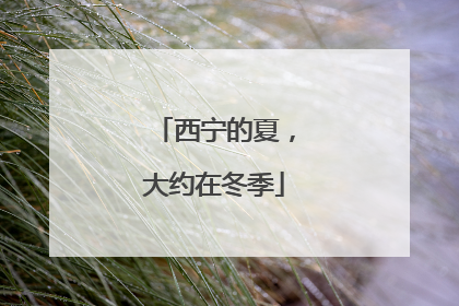 西宁的夏，大约在冬季