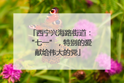 西宁兴海路街道：“七一”，特别的爱献给伟大的党