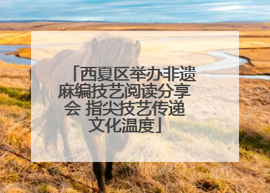 西夏区举办非遗麻编技艺阅读分享会 指尖技艺传递文化温度