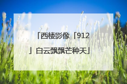 西楼影像「912」白云飘飘芒种天