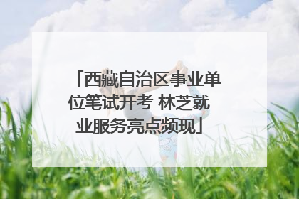 西藏自治区事业单位笔试开考 林芝就业服务亮点频现