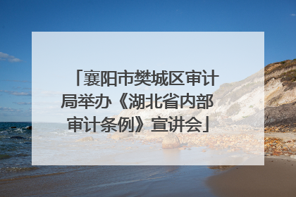 襄阳市樊城区审计局举办《湖北省内部审计条例》宣讲会
