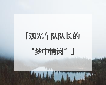 观光车队队长的“梦中情岗”