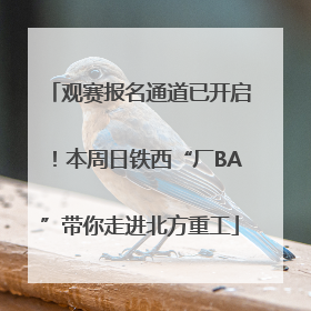 观赛报名通道已开启！本周日铁西“厂BA”带你走进北方重工