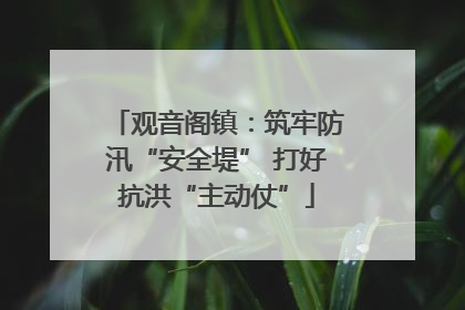 观音阁镇：筑牢防汛“安全堤” 打好抗洪“主动仗”