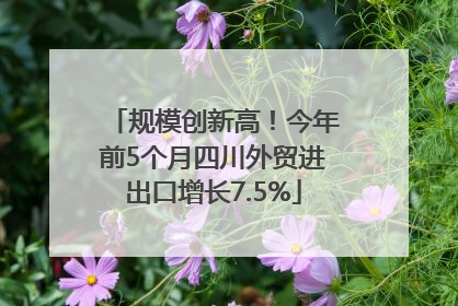 规模创新高！今年前5个月四川外贸进出口增长7.5%