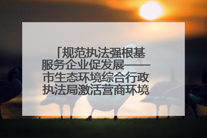 规范执法强根基 服务企业促发展——市生态环境综合行政执法局激活营商环境“绿色动能”