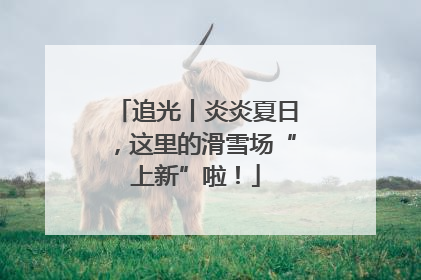 追光丨炎炎夏日，这里的滑雪场“上新”啦！