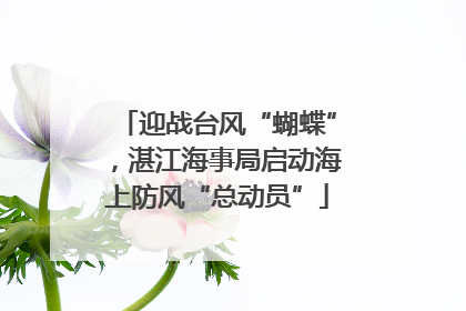 迎战台风“蝴蝶”，湛江海事局启动海上防风“总动员”