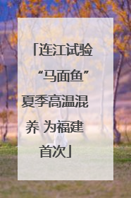 连江试验“马面鱼”夏季高温混养 为福建首次